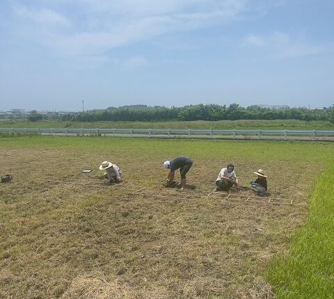 初めての米づくりは…🍙
